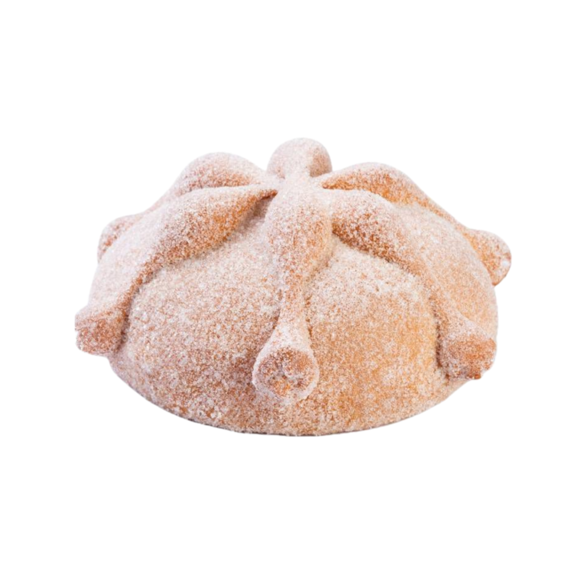 Pan de Muerto (caja 8 pz)